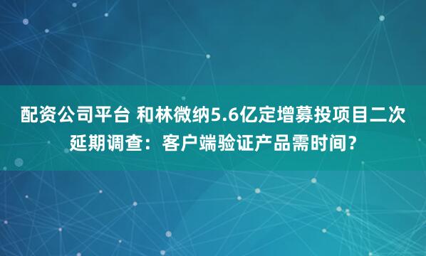 配资公司平台 和林微纳5.6亿定增募投项目二次延期调查：客户端验证产品需时间？