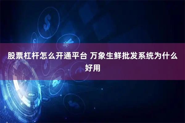 股票杠杆怎么开通平台 万象生鲜批发系统为什么好用