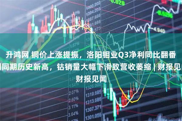 升鸿网 铜价上涨提振，洛阳钼业Q3净利同比翻番创同期历史新高，钴销量大幅下滑致营收萎缩 | 财报见闻