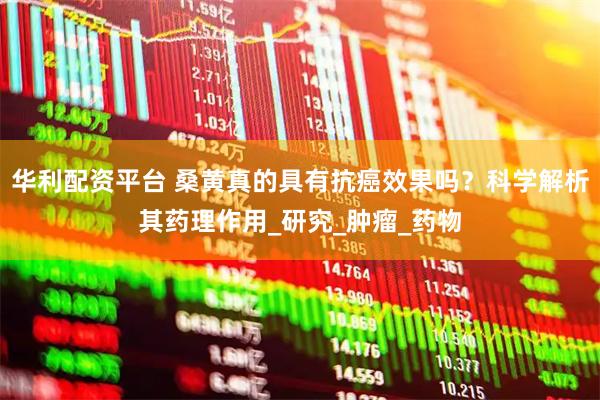 华利配资平台 桑黄真的具有抗癌效果吗？科学解析其药理作用_研究_肿瘤_药物