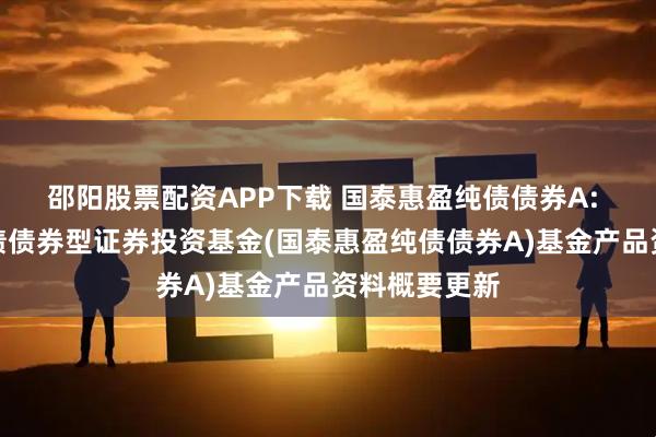 邵阳股票配资APP下载 国泰惠盈纯债债券A: 国泰惠盈纯债债券型证券投资基金(国泰惠盈纯债债券A)基金产品资料概要更新