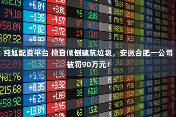 纯旭配资平台 擅自倾倒建筑垃圾，安徽合肥一公司被罚90万元！
